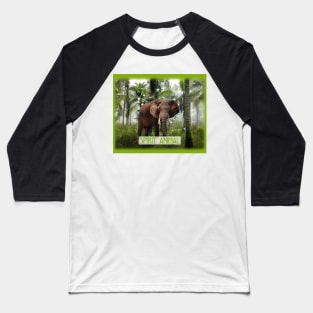 Spirit Animal 5 Baseball T-Shirt